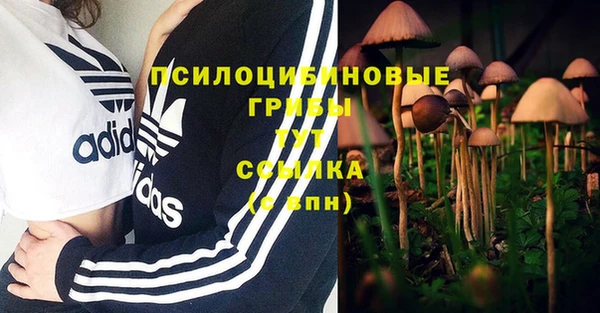 a pvp Алексин