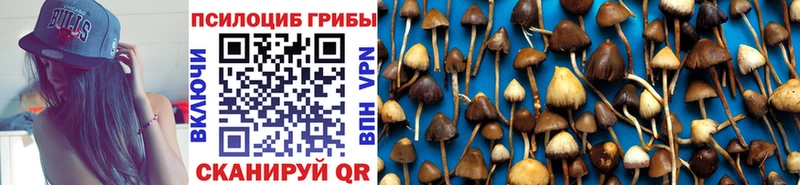 Галлюциногенные грибы прущие грибы  Островной 